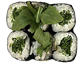 S38. Rucola Maki